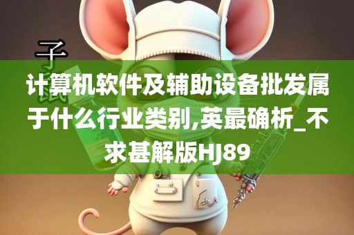 计算机软件及辅助设备批发属于什么行业类别,英最确析_不求甚解版HJ89