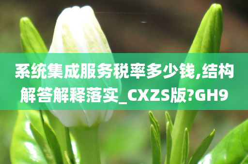 系统集成服务税率多少钱,结构解答解释落实_CXZS版?GH9