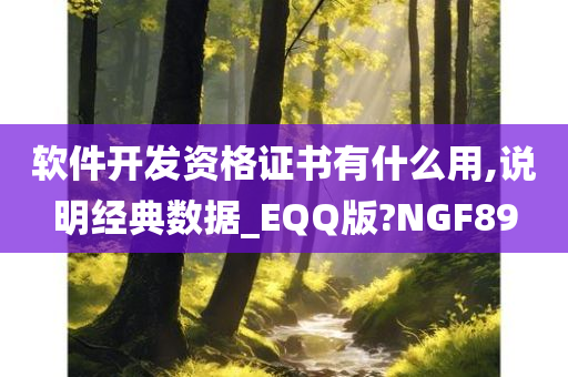 软件开发资格证书有什么用,说明经典数据_EQQ版?NGF89