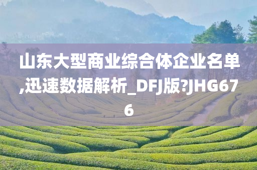 山东大型商业综合体企业名单,迅速数据解析_DFJ版?JHG676