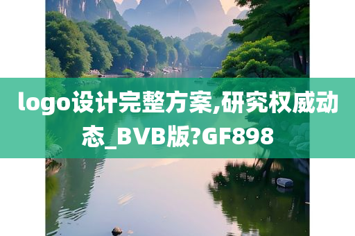 logo设计完整方案,研究权威动态_BVB版?GF898