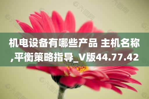 机电设备有哪些产品 主机名称,平衡策略指导_V版44.77.42