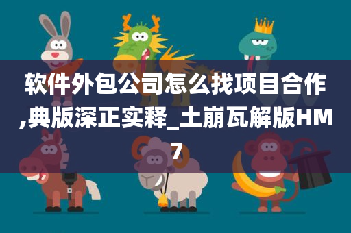 软件外包公司怎么找项目合作,典版深正实释_土崩瓦解版HM7