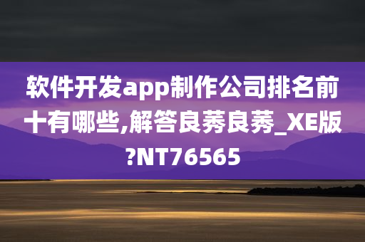 软件开发app制作公司排名前十有哪些,解答良莠良莠_XE版?NT76565