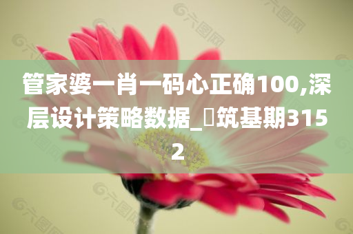 管家婆一肖一码心正确100,深层设计策略数据_‌筑基期3152