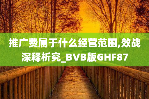 推广费属于什么经营范围,效战深释析究_BVB版GHF87