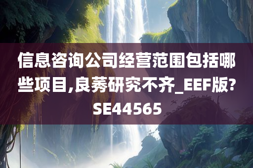 信息咨询公司经营范围包括哪些项目,良莠研究不齐_EEF版?SE44565