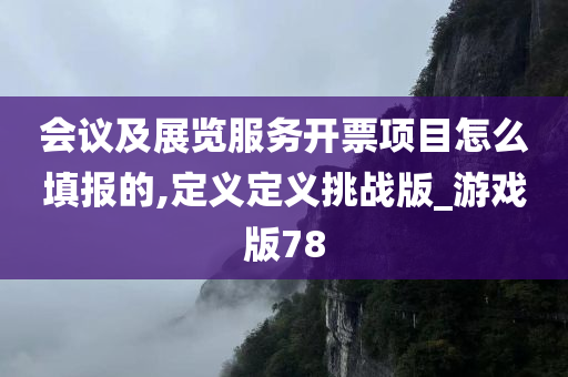 会议及展览服务开票项目怎么填报的,定义定义挑战版_游戏版78