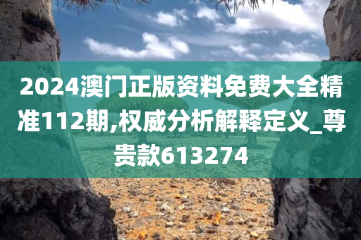 2024澳门正版资料免费大全精准112期,权威分析解释定义_尊贵款613274