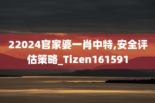 22024官家婆一肖中特,安全评估策略_Tizen161591