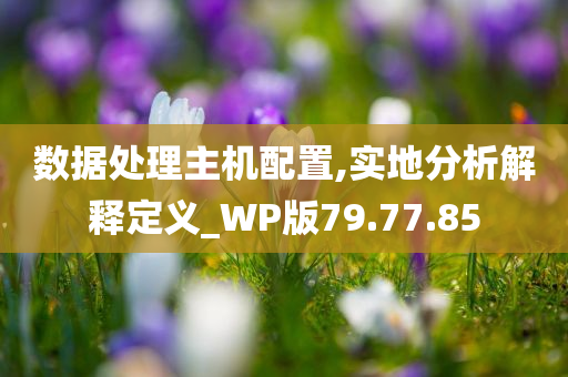 数据处理主机配置,实地分析解释定义_WP版79.77.85