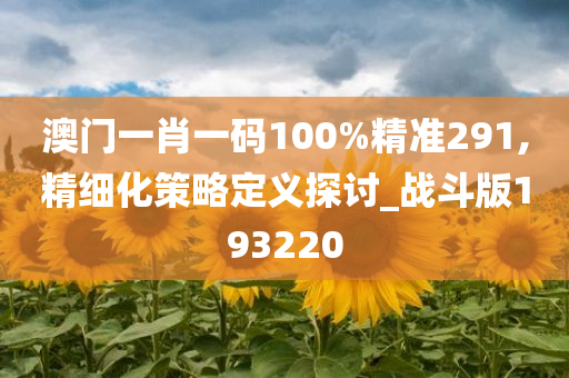 澳门一肖一码100%精准291,精细化策略定义探讨_战斗版193220