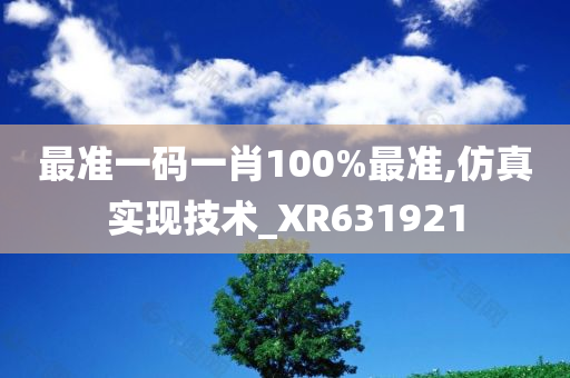 最准一码一肖100%最准,仿真实现技术_XR631921