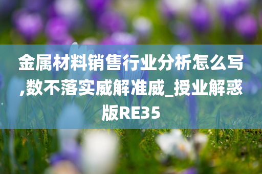 金属材料销售行业分析怎么写,数不落实威解准威_授业解惑版RE35