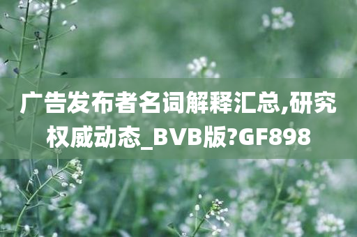 广告发布者名词解释汇总,研究权威动态_BVB版?GF898