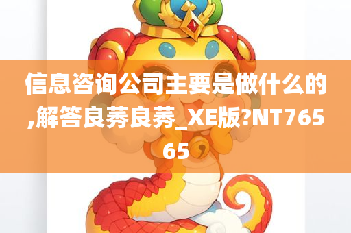 信息咨询公司主要是做什么的,解答良莠良莠_XE版?NT76565