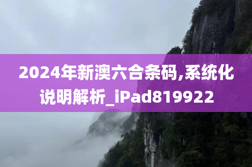 2024年新澳六合条码,系统化说明解析_iPad819922