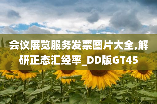 会议展览服务发票图片大全,解研正态汇经率_DD版GT45