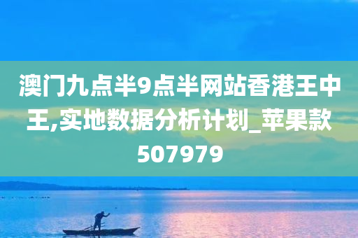 澳门九点半9点半网站香港王中王,实地数据分析计划_苹果款507979