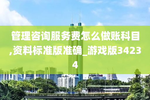 管理咨询服务费怎么做账科目,资料标准版准确_游戏版34234