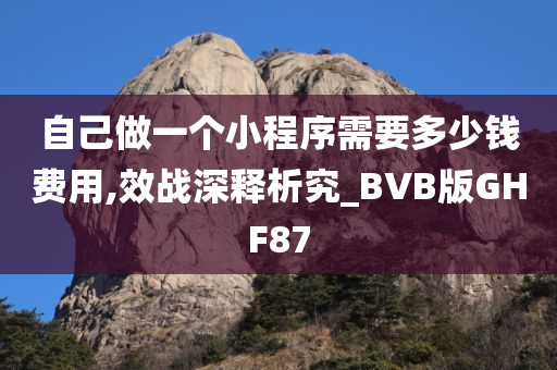 自己做一个小程序需要多少钱费用,效战深释析究_BVB版GHF87