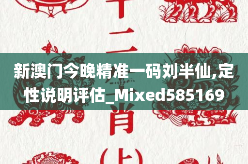 新澳门今晚精准一码刘半仙,定性说明评估_Mixed585169