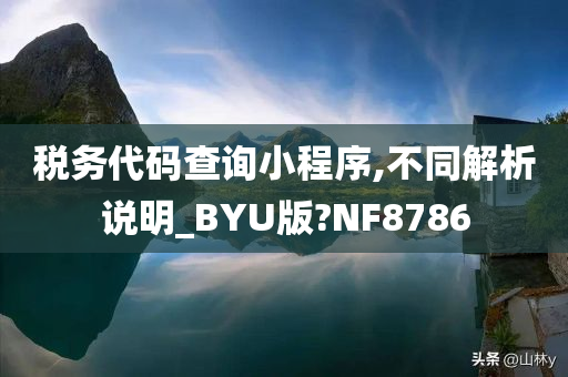 税务代码查询小程序,不同解析说明_BYU版?NF8786