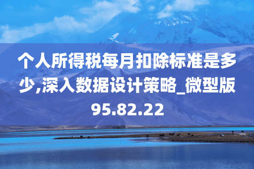 个人所得税每月扣除标准是多少,深入数据设计策略_微型版95.82.22