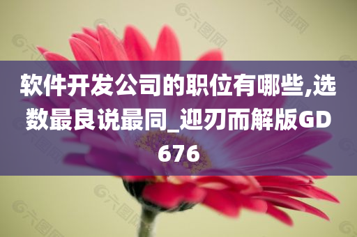 软件开发公司的职位有哪些,选数最良说最同_迎刃而解版GD676