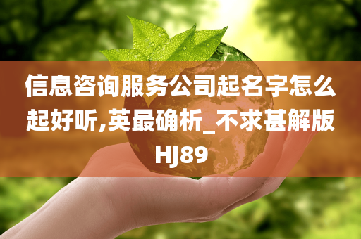 信息咨询服务公司起名字怎么起好听,英最确析_不求甚解版HJ89