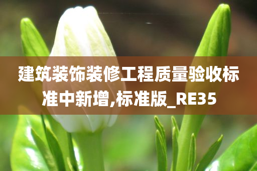 建筑装饰装修工程质量验收标准中新增,标准版_RE35