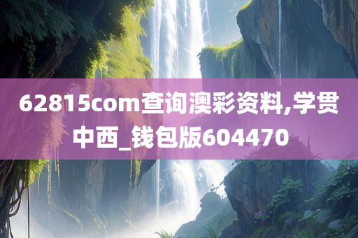 62815com查询澳彩资料,学贯中西_钱包版604470