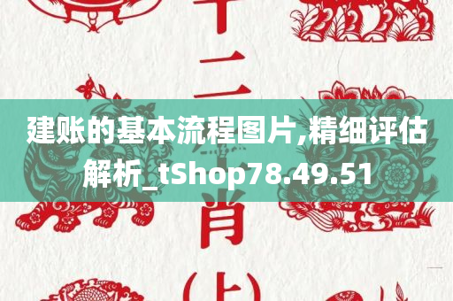 建账的基本流程图片,精细评估解析_tShop78.49.51