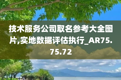 技术服务公司取名参考大全图片,实地数据评估执行_AR75.75.72