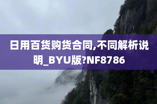 日用百货购货合同,不同解析说明_BYU版?NF8786