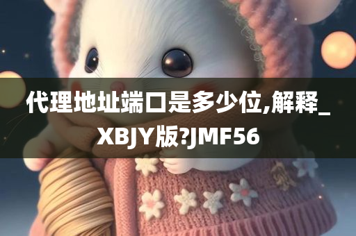 代理地址端口是多少位,解释_XBJY版?JMF56