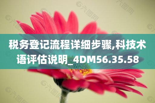 税务登记流程详细步骤,科技术语评估说明_4DM56.35.58