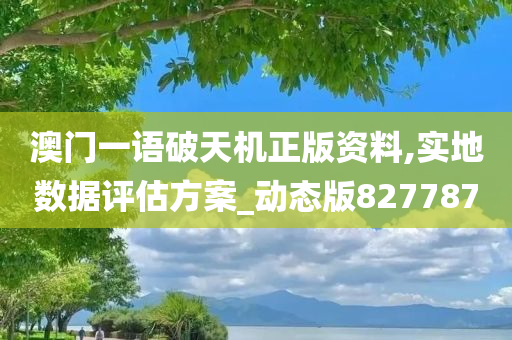 澳门一语破天机正版资料,实地数据评估方案_动态版827787