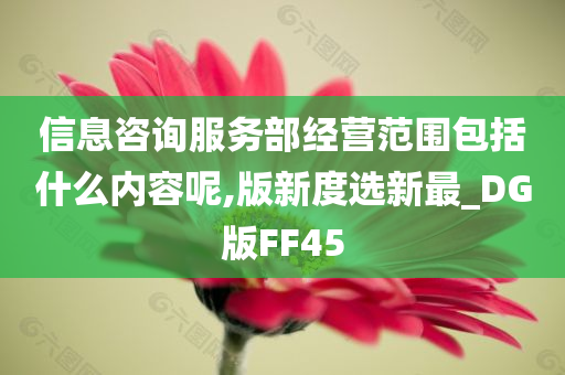 信息咨询服务部经营范围包括什么内容呢,版新度选新最_DG版FF45