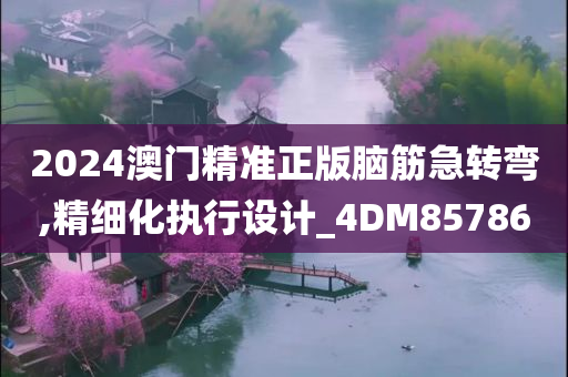 2024澳门精准正版脑筋急转弯,精细化执行设计_4DM857860