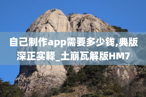 自己制作app需要多少钱,典版深正实释_土崩瓦解版HM7