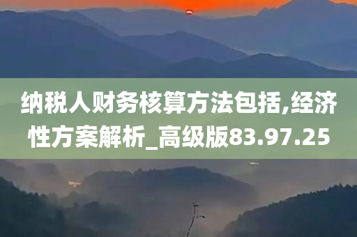 纳税人财务核算方法包括,经济性方案解析_高级版83.97.25