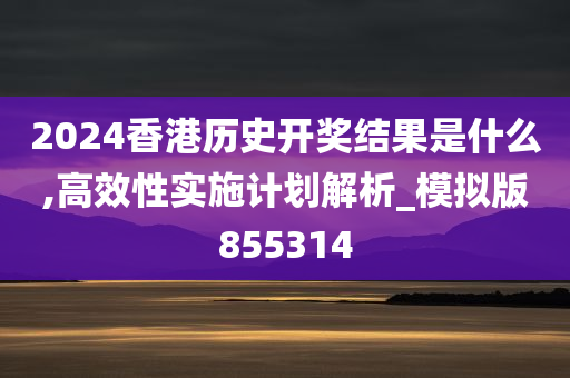 2024香港历史开奖结果是什么,高效性实施计划解析_模拟版855314