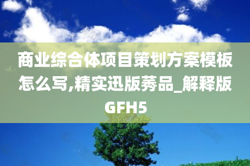 商业综合体项目策划方案模板怎么写,精实迅版莠品_解释版GFH5