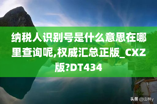 纳税人识别号是什么意思在哪里查询呢,权威汇总正版_CXZ版?DT434