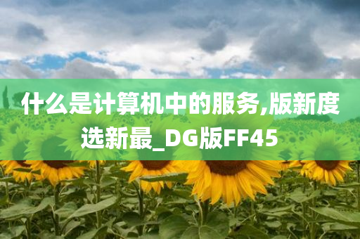 什么是计算机中的服务,版新度选新最_DG版FF45