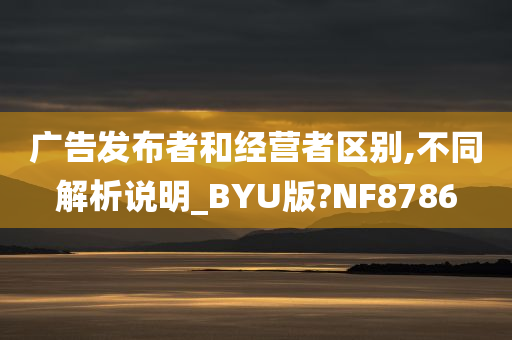 广告发布者和经营者区别,不同解析说明_BYU版?NF8786