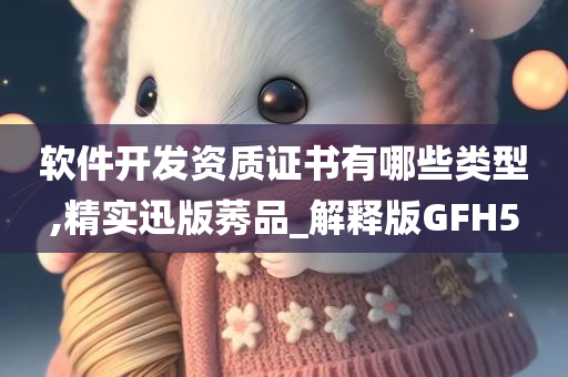 软件开发资质证书有哪些类型,精实迅版莠品_解释版GFH5