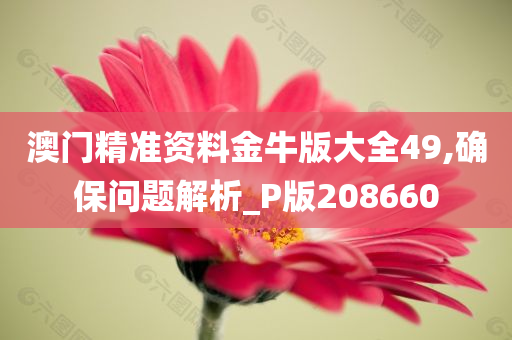 澳门精准资料金牛版大全49,确保问题解析_P版208660