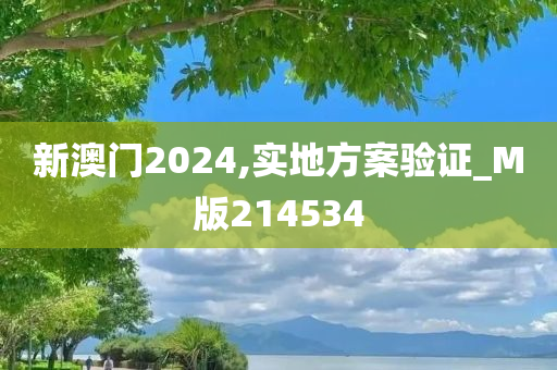 新澳门2024,实地方案验证_M版214534